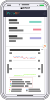Petrofly Phone Demo