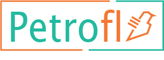 Petrofly Navbar Logo